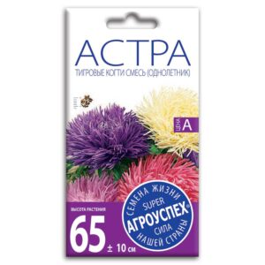 Семена Астры " Тигровые когти " смесь ( однолетник )